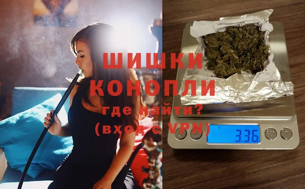 стафф Белокуриха
