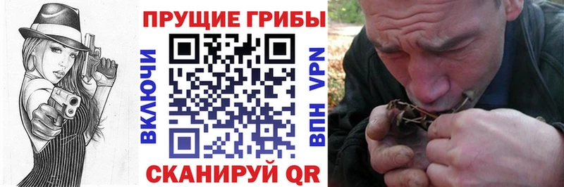 Псилоцибиновые грибы мухоморы  Ленинск-Кузнецкий 